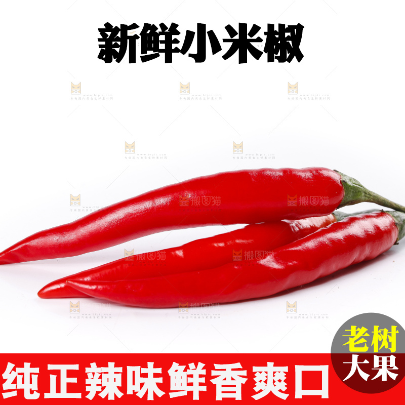 小米椒
