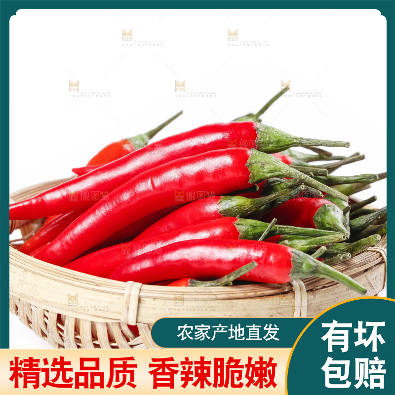 小米椒