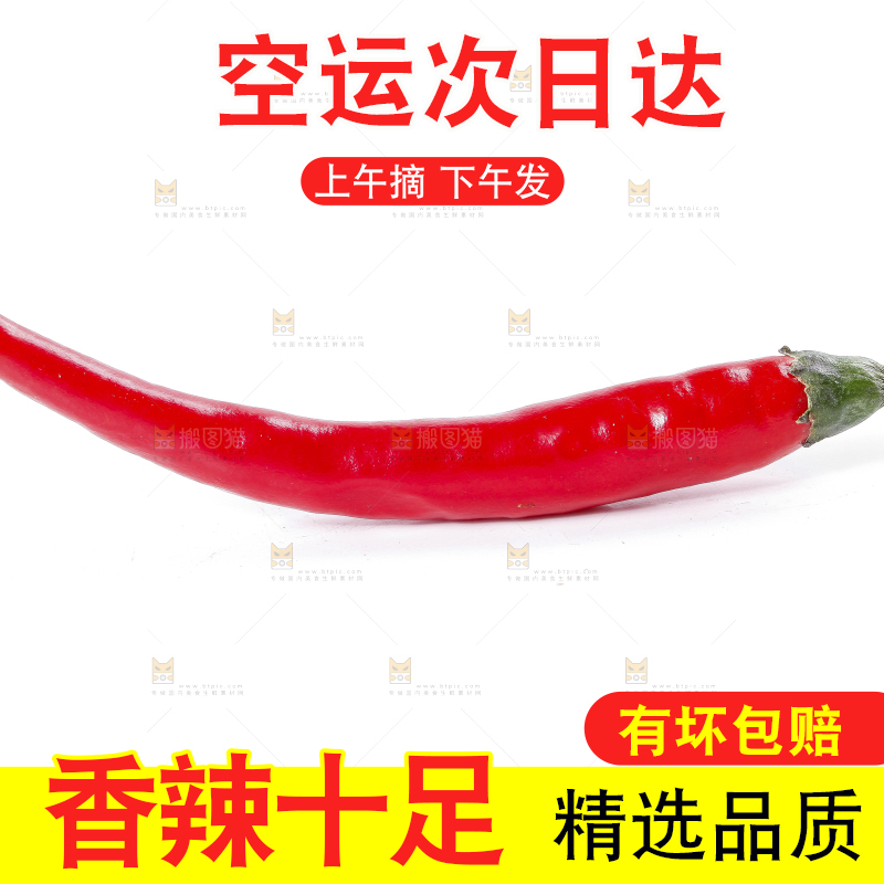 小米椒