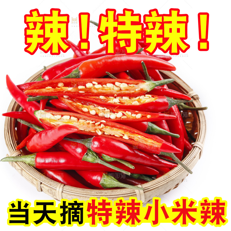 小米椒