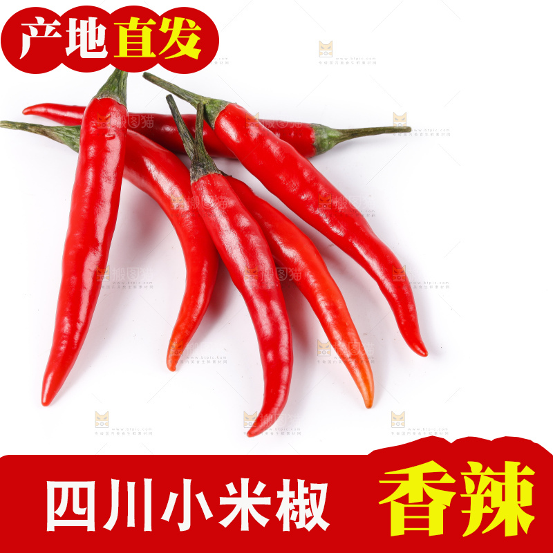 小米椒