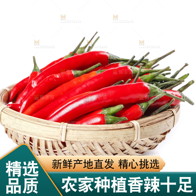 小米椒