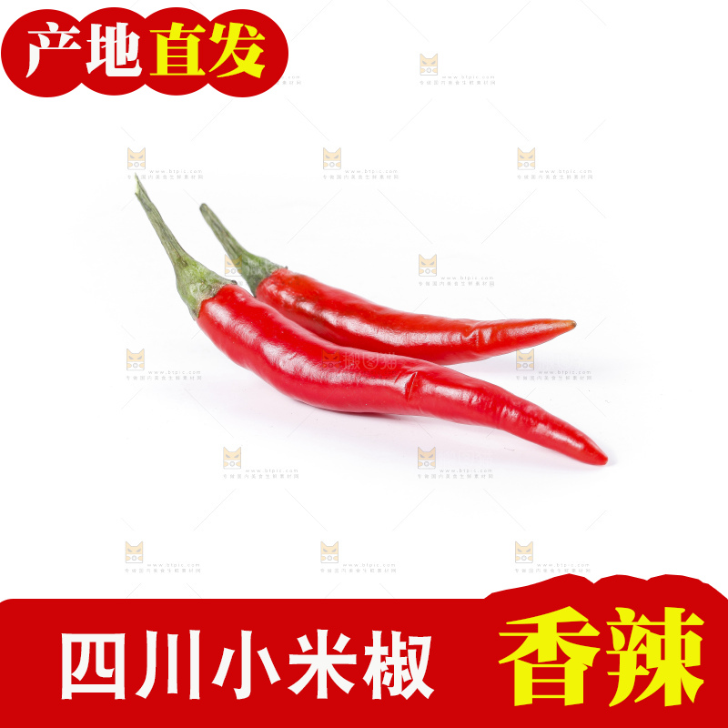 小米椒
