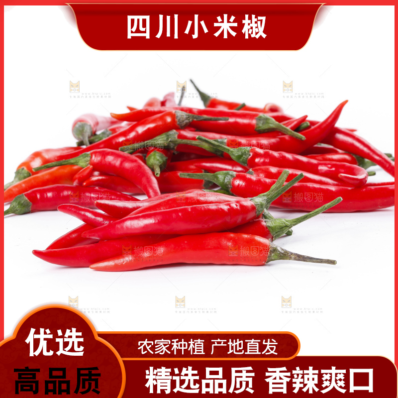 小米椒