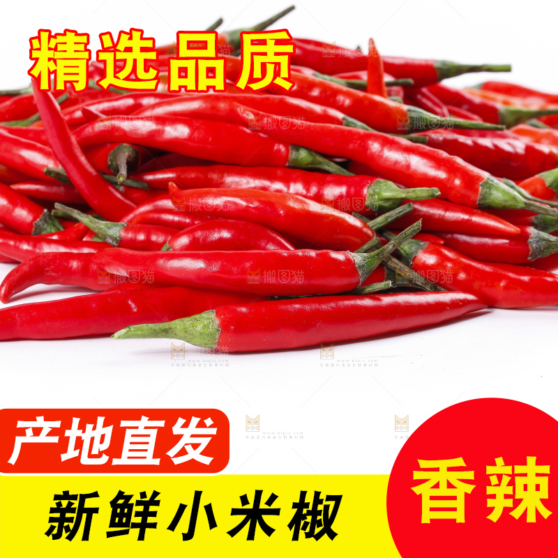 小米椒