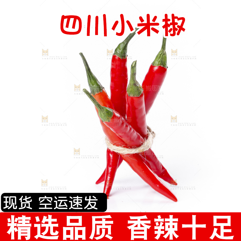 小米椒