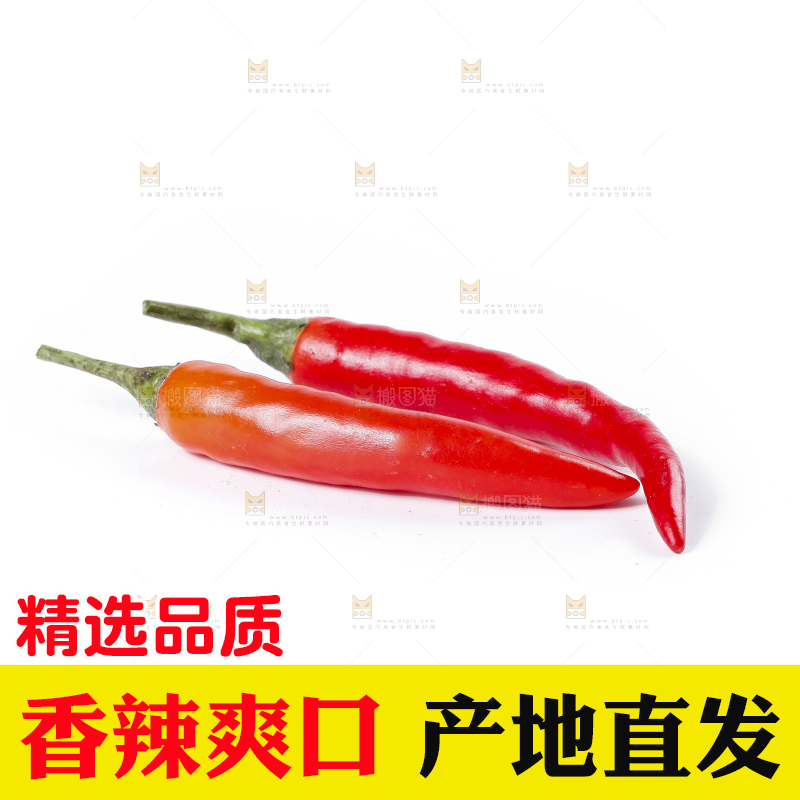 小米椒