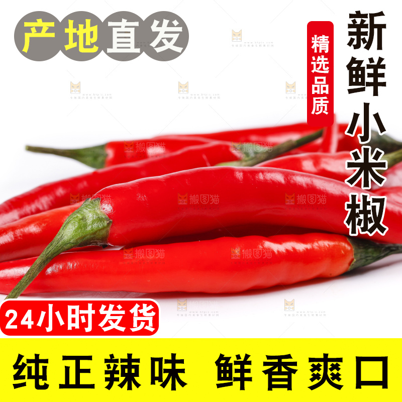 小米椒