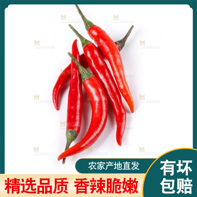 小米椒