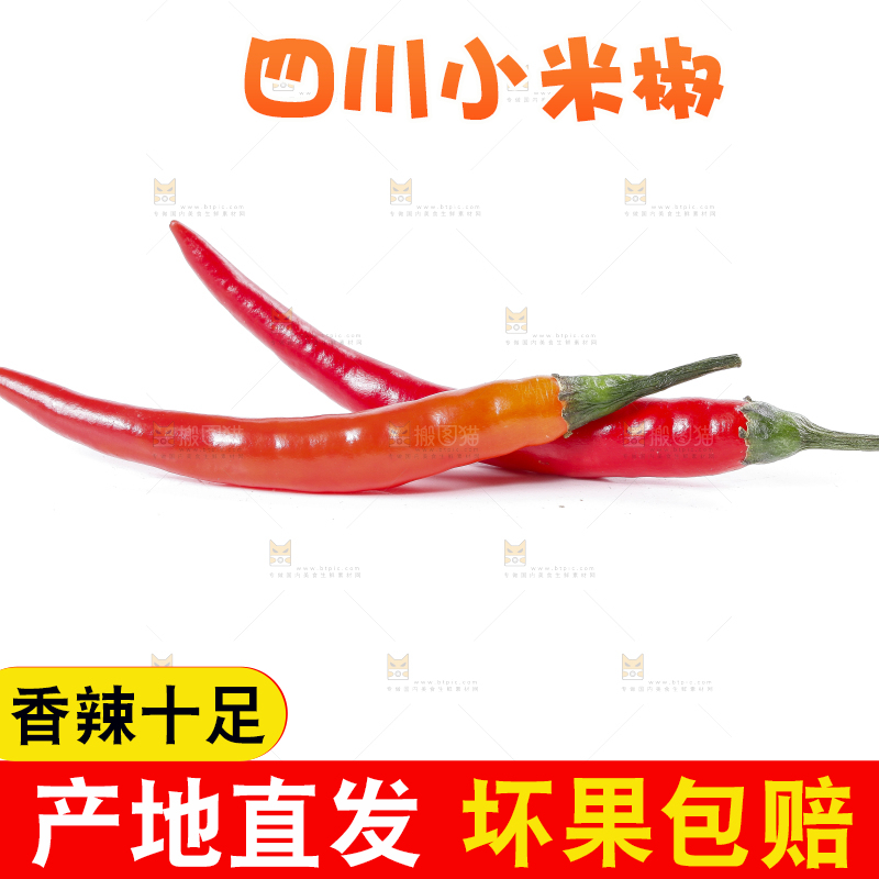 小米椒