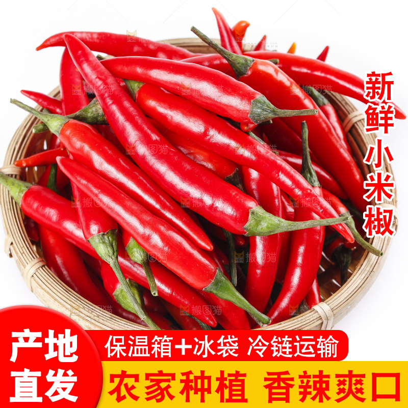 小米椒