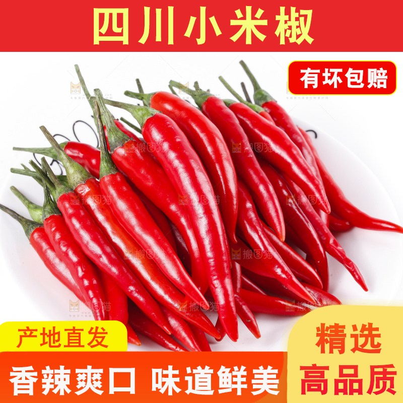 小米椒
