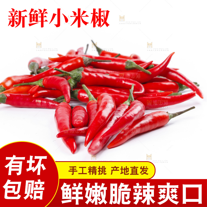 小米椒