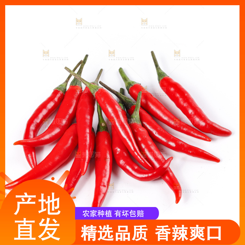 小米椒