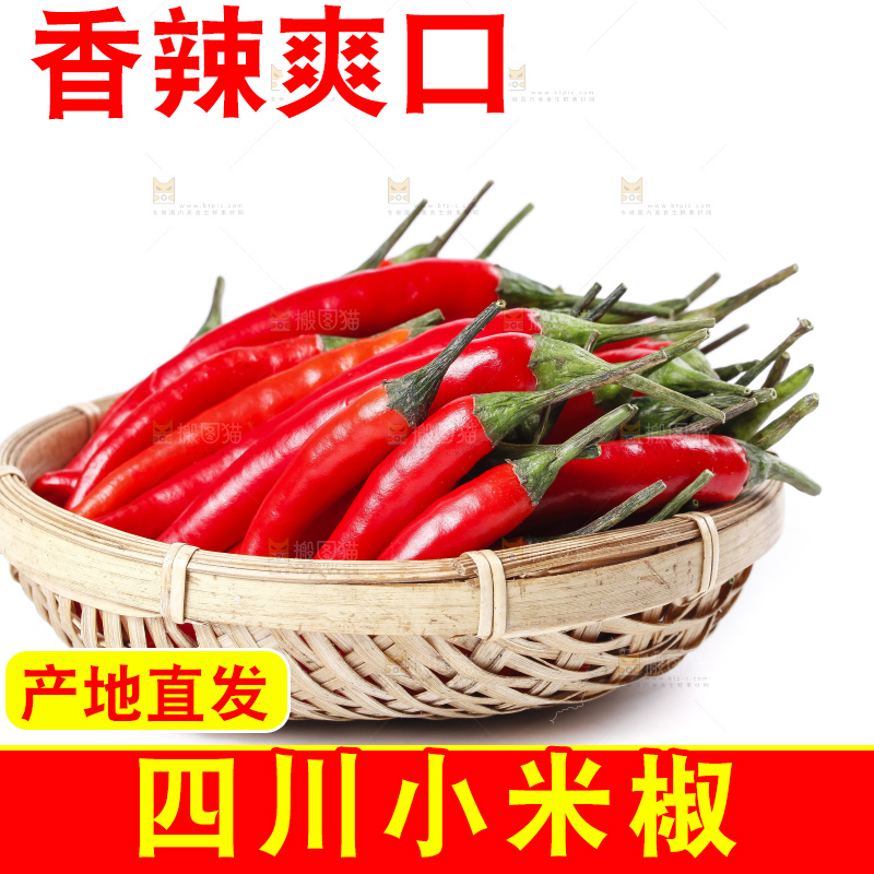 小米椒