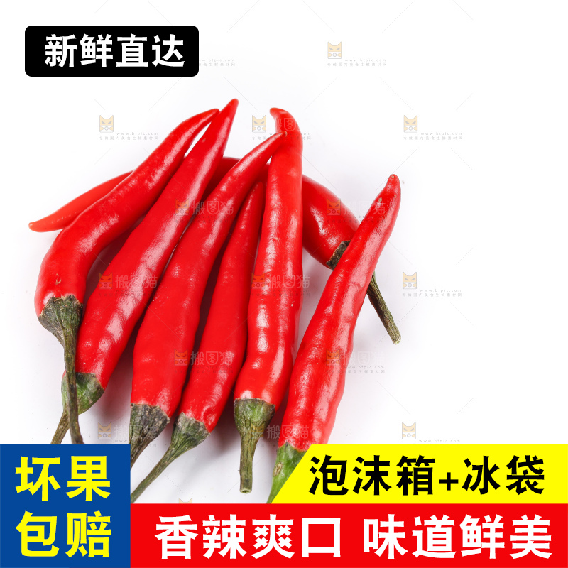 小米椒