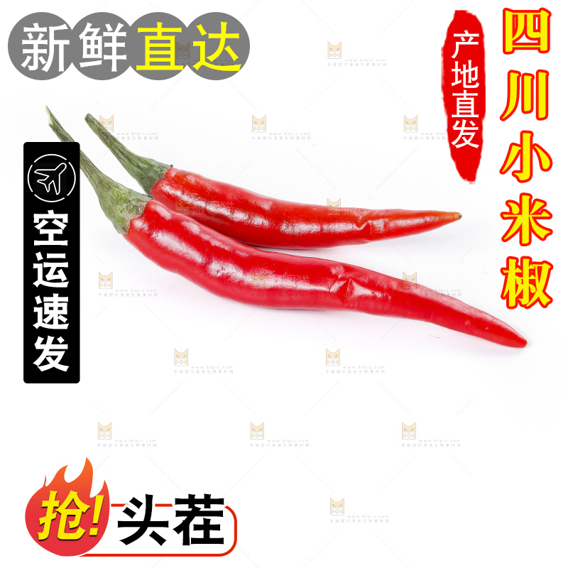 小米椒