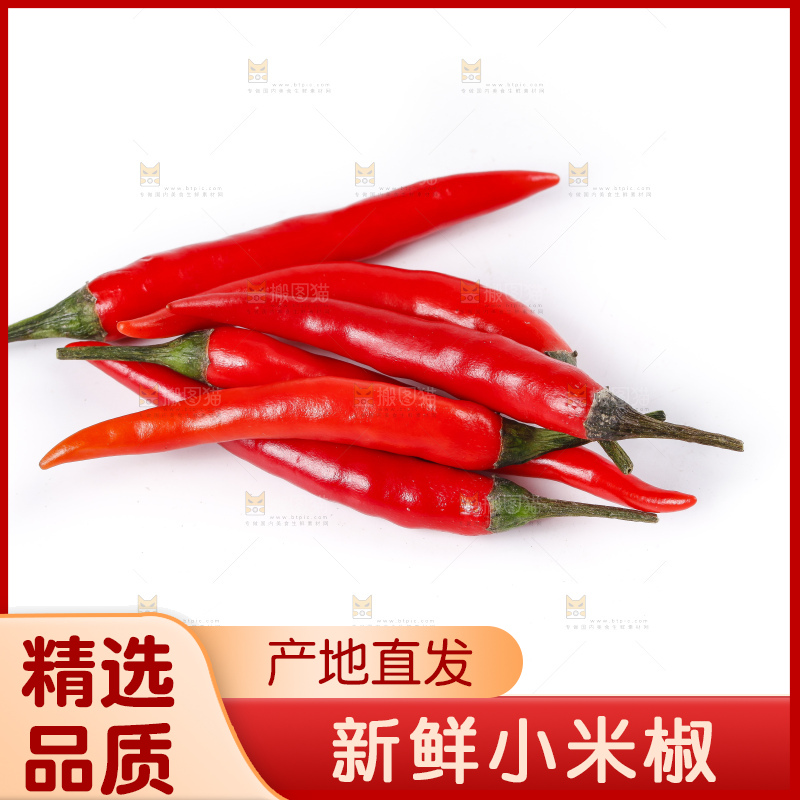 小米椒