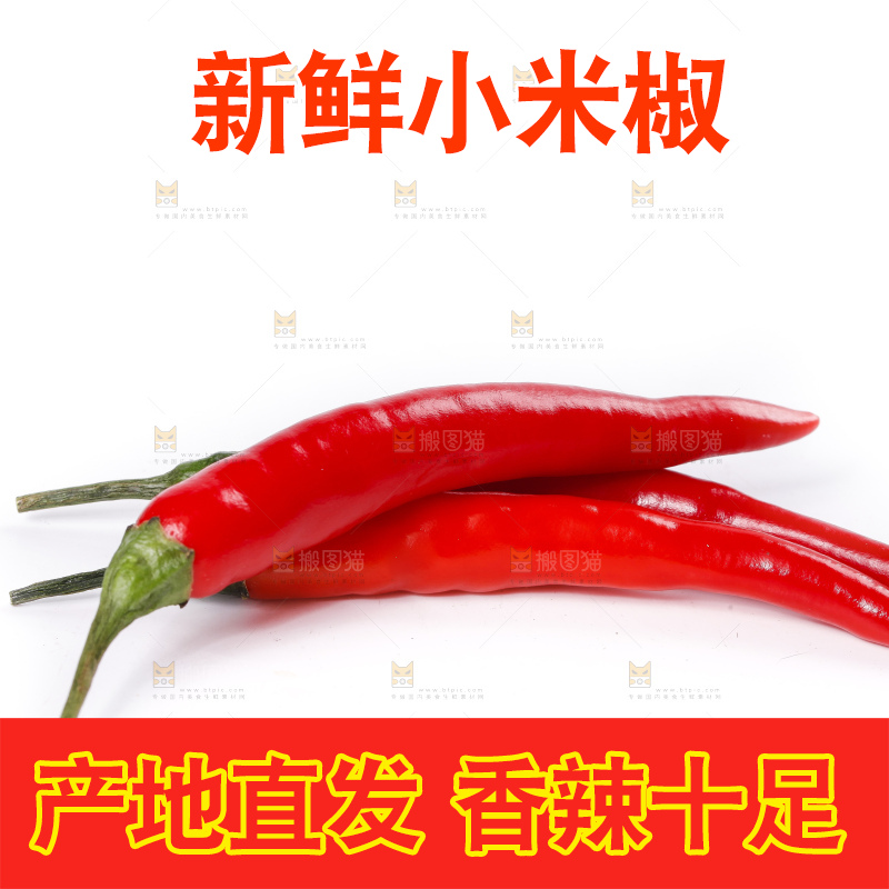 小米椒