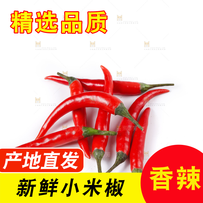 小米椒