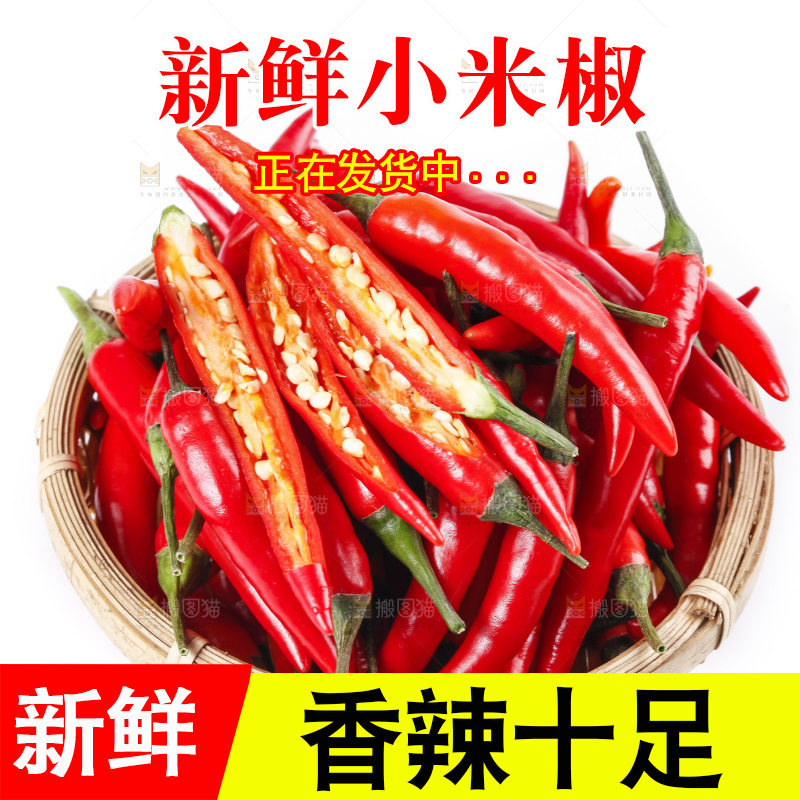 小米椒