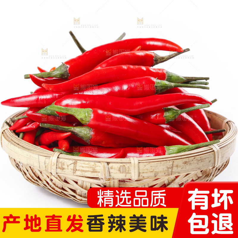 小米椒