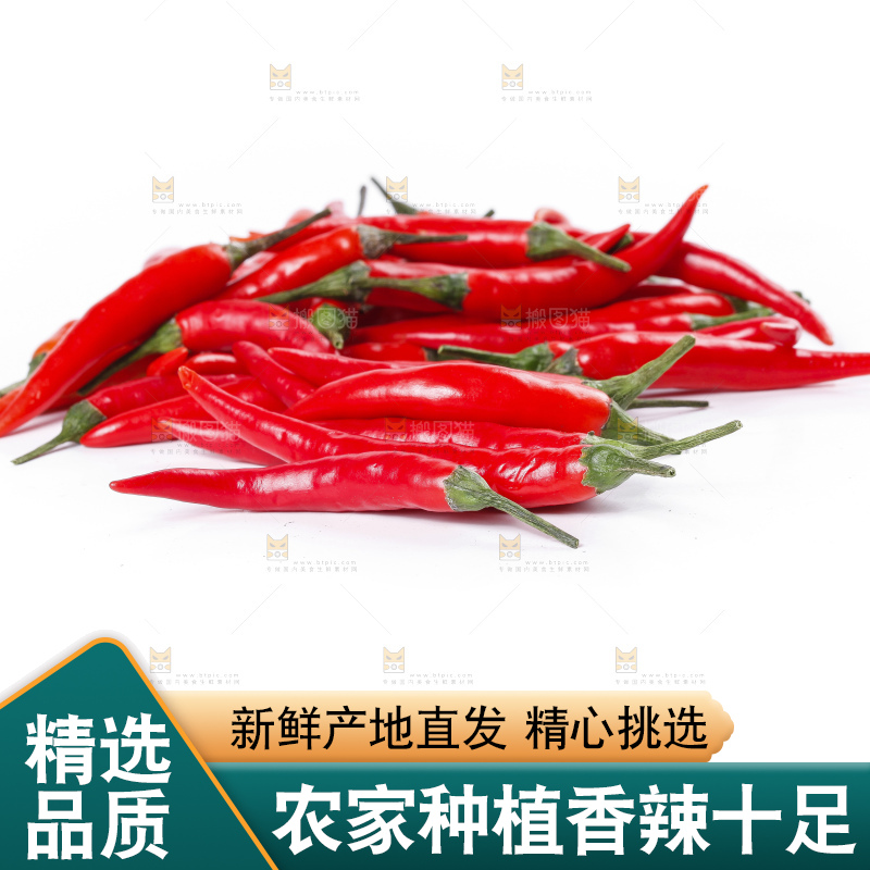 小米椒