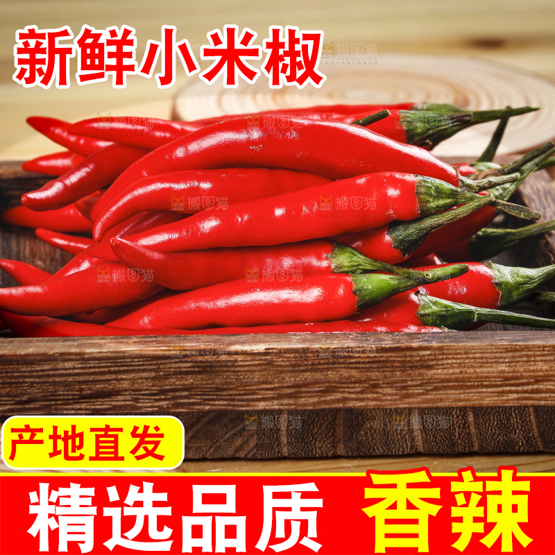 小米椒