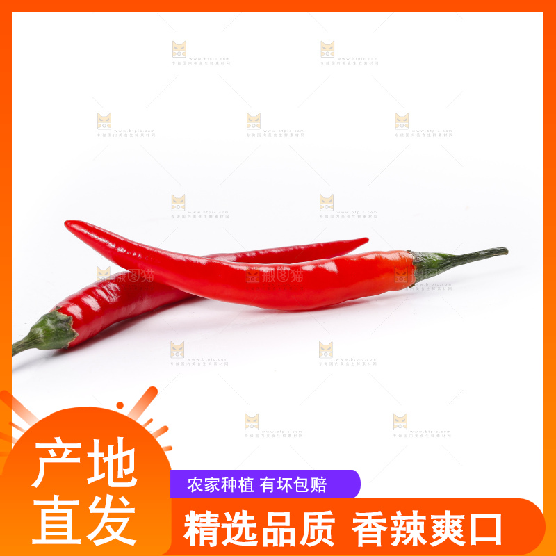 小米椒