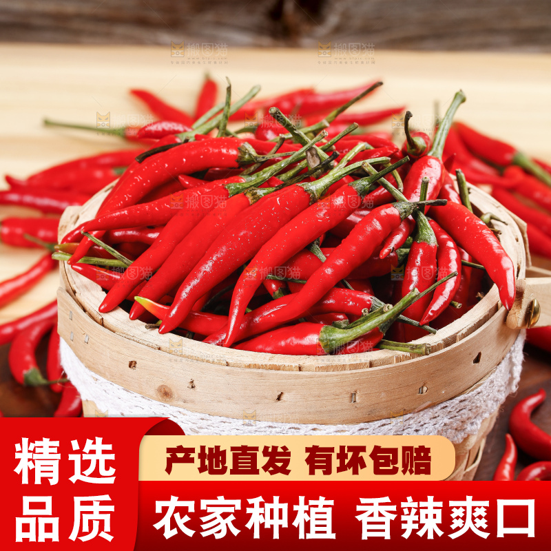 小米椒