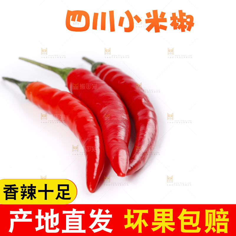 小米椒