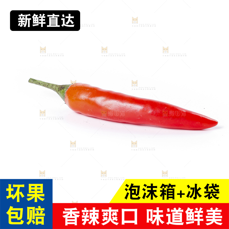 小米椒