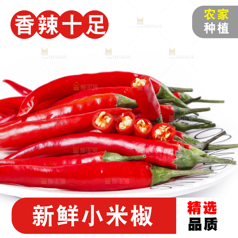 小米椒