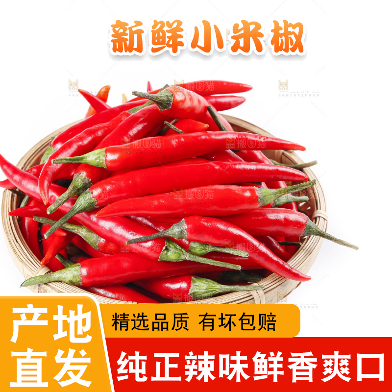小米椒