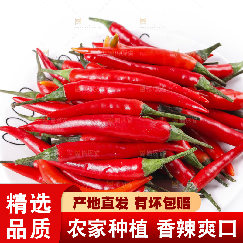 小米椒