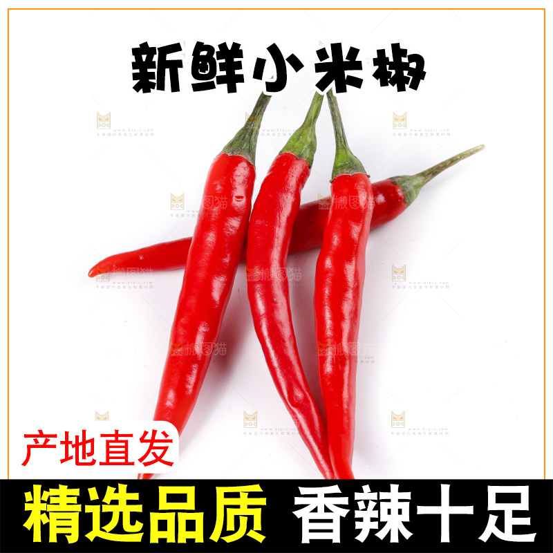小米椒
