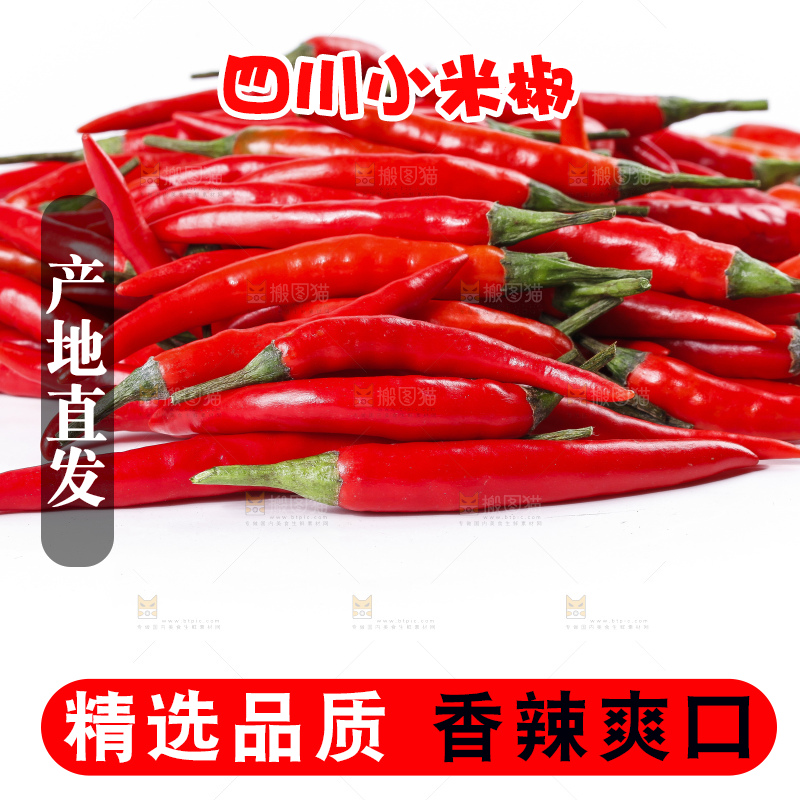 小米椒