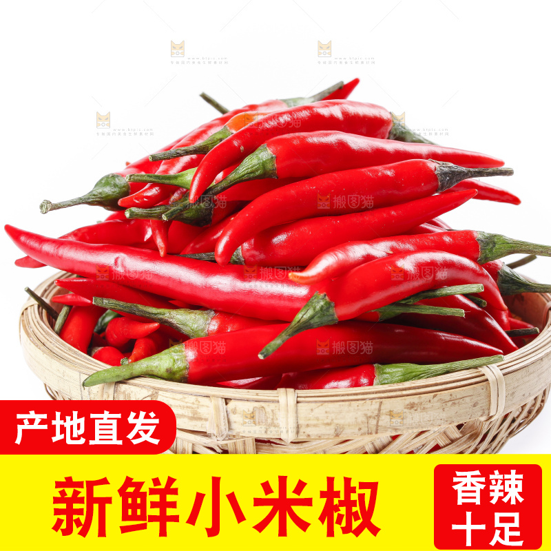 小米椒