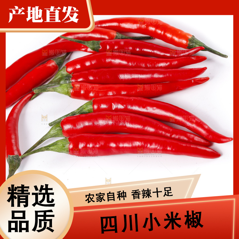 小米椒
