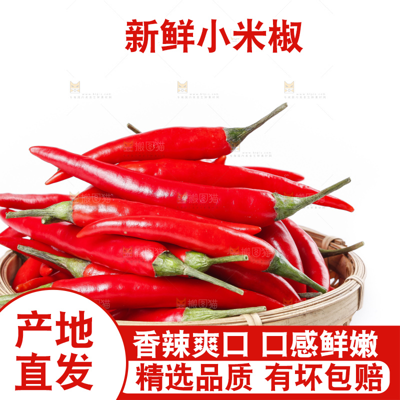 小米椒