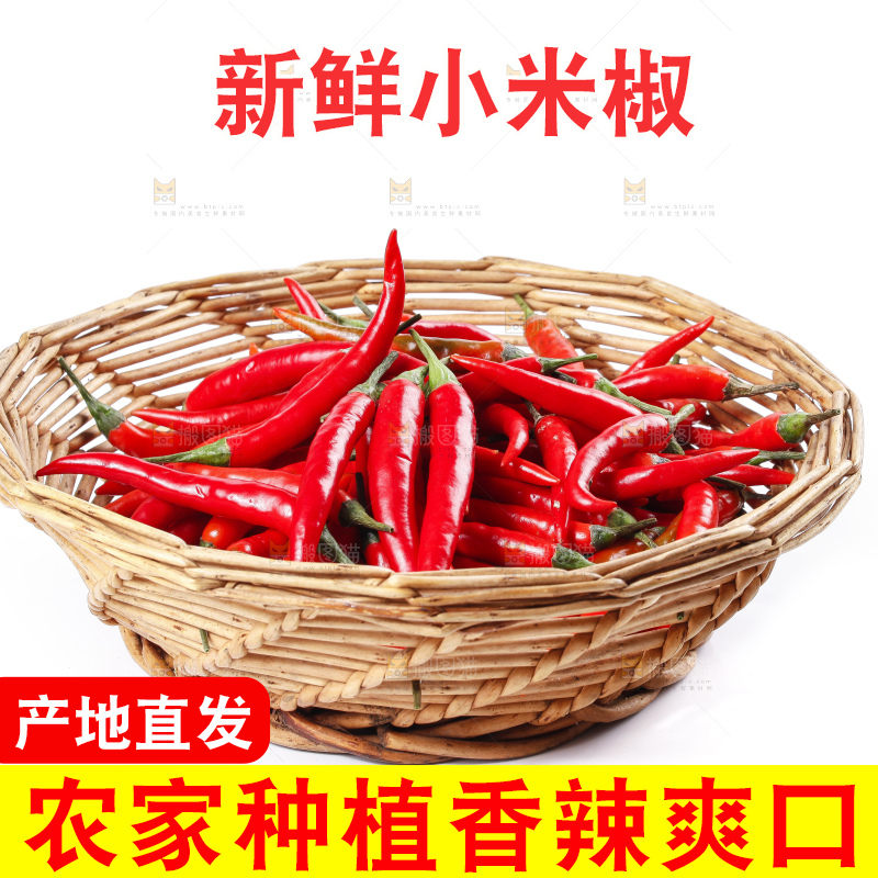 小米椒
