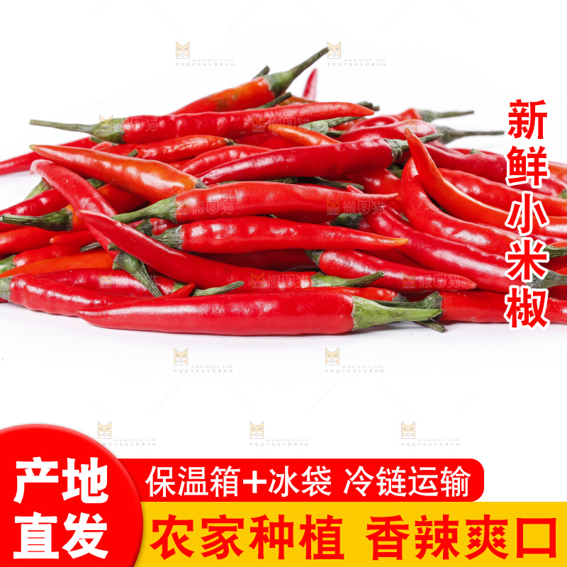 小米椒