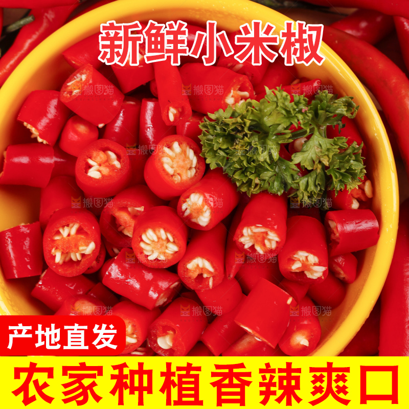 小米椒