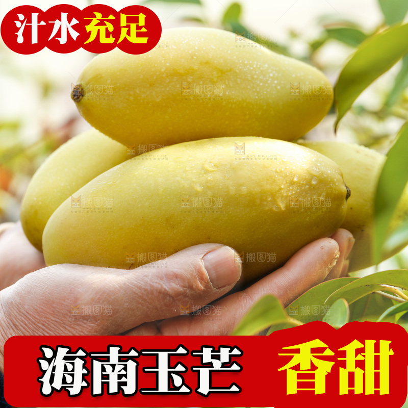 玉芒