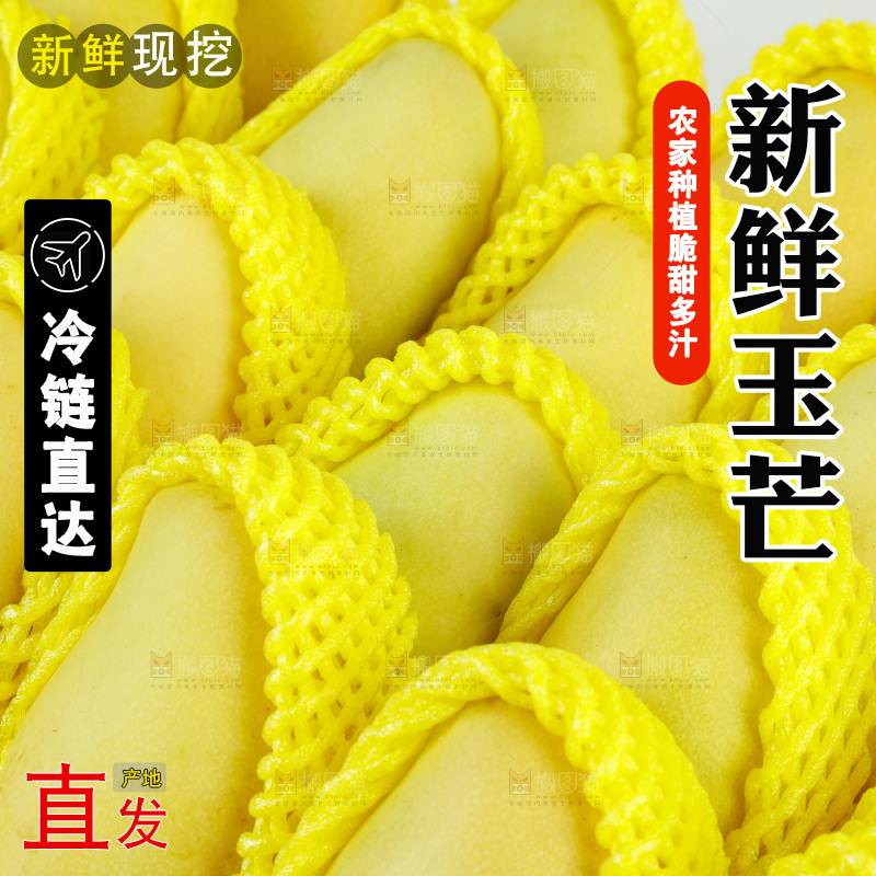 玉芒