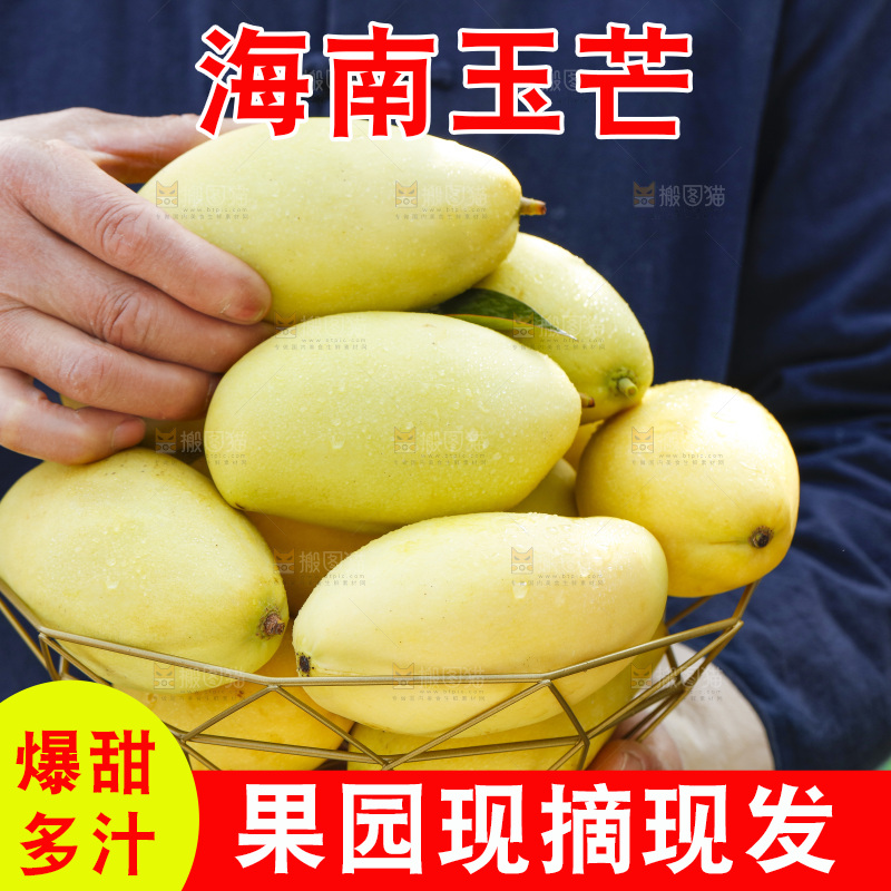 玉芒