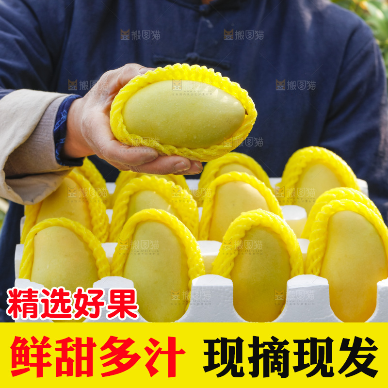 玉芒