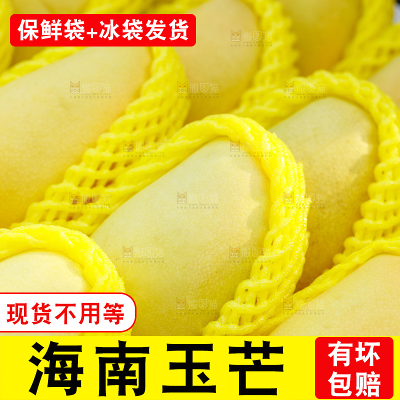 玉芒