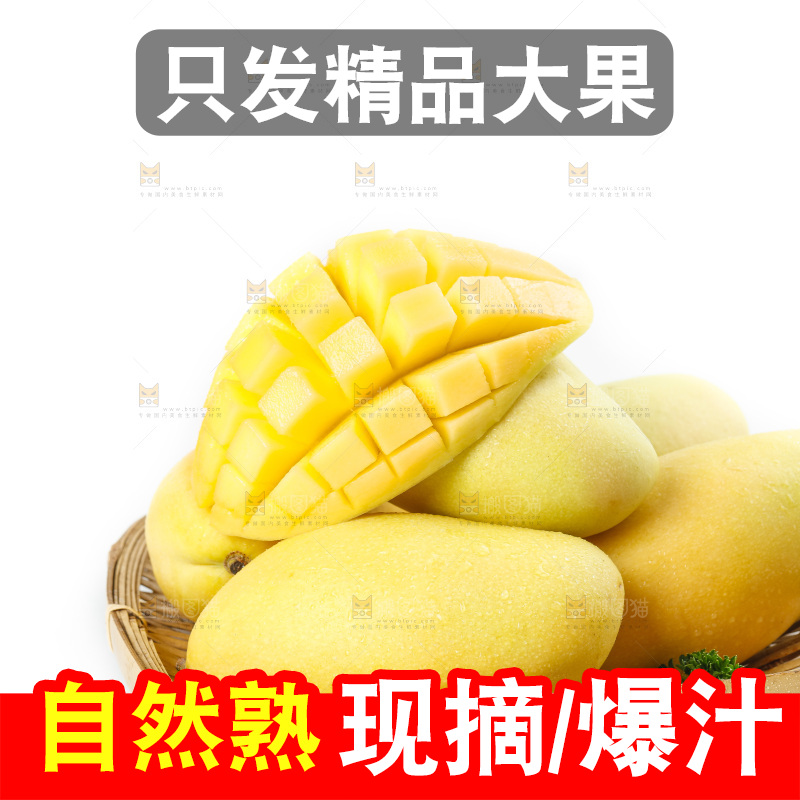 玉芒
