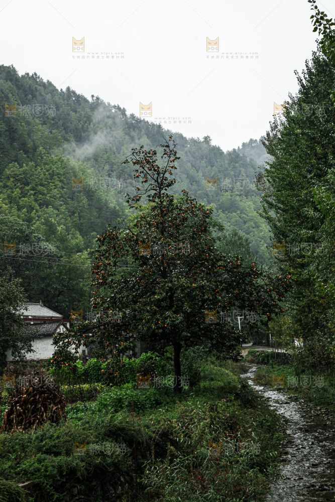深山风景